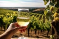 Hand holding a glass of white wine, vineyard on the background Royalty Free Stock Photo