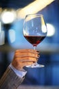 Hand holding glass of wine Royalty Free Stock Photo