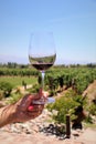 A glass of wine with a view over a winery, grapes