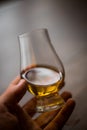 Hand holding a Glencairn whisky glass Royalty Free Stock Photo
