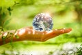 Hand holding globe glass in green forest over nature background. Environment concept - Elements of this image furnished by NASA Royalty Free Stock Photo