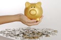 Hand Holding Golden Piggy Bank Royalty Free Stock Photo