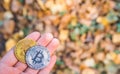 Hand holding Golden and silver bitcoin in autumn in forest , park .Modern exchange value, electronic money virtual pay , Used for