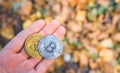 Hand holding Golden and silver bitcoin in autumn in forest , park .Modern exchange value, electronic money virtual pay , Used for