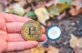 Hand holding Golden and silver bitcoin in autumn in forest , park .Modern exchange value, electronic money virtual pay , Used for