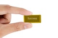 Hand holding golden success computer key Royalty Free Stock Photo