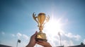 Hand holding golden trophy under the sunlight with blue sky background