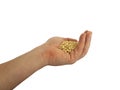 Hand holding grain isolated natural