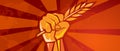 hand holding grain wheat rice crop symbol of revolution fight for prosperity food freedom victory