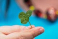 Hand holding a green Four-leaf clover, the lucky leaf that brings good luck to the finder Royalty Free Stock Photo