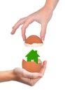 Hand holding green house in eggshell Royalty Free Stock Photo