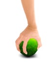 Hand holding green planet Royalty Free Stock Photo