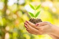 Hand holding green plant growing on soil over nature ,ecology background