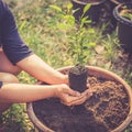 Hand holding a green plant on soil Royalty Free Stock Photo