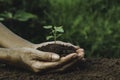 Hand holding a green and small plant. Green fresh plants on nature background