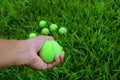a hand holding green tennis ball Royalty Free Stock Photo