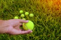 a hand holding green tennis ball Royalty Free Stock Photo