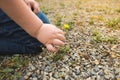 Hand holding Green young tree plant sprout growing out from the soil, environment earth day concept, copy space Royalty Free Stock Photo