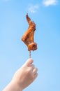 A Hand holding Grilled chicken wings on blue sky Royalty Free Stock Photo