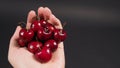 Hand is holding group of cherries on black background Royalty Free Stock Photo
