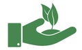 Hand holding growing plant or seedling icon