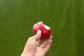 Hand holding half-eaten red apple with a green blurred background Royalty Free Stock Photo