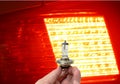 Hand holding halogen light bulb vehicle spare parts on car back lamp shiny in dark background Royalty Free Stock Photo