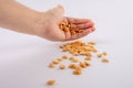 Hand holding heap of salt roasted peanuts on white background Royalty Free Stock Photo