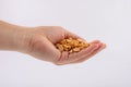 Hand holding heap of salt roasted peanuts on white background Royalty Free Stock Photo