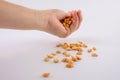 Hand holding heap of salt roasted peanuts on white background Royalty Free Stock Photo