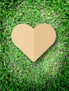 Hand holding heart love the nature symbol Grass background Royalty Free Stock Photo