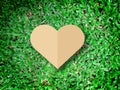 Hand holding heart love the nature symbol Grass background Royalty Free Stock Photo