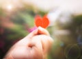 Hand holding a heart shape with blurry background