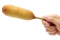 Hand holding homemade corn dog