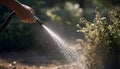 A hand holding a hose nozzle and watering the garden outside. Splashing and spraying water from the hose Royalty Free Stock Photo