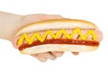 Hand holding hot dog with mustard isolated on white background. ÃÂ¡lipping path Royalty Free Stock Photo