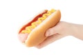 Hand holding hot dog with mustard isolated on white background. ÃÂ¡lipping path Royalty Free Stock Photo