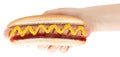 Hand holding hot dog with mustard isolated on white background. ÃÂ¡lipping path Royalty Free Stock Photo