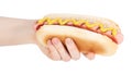 Hand holding hot dog with mustard isolated on white background. ÃÂ¡lipping path Royalty Free Stock Photo