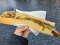 Hand holding hot dog street food closeup Royalty Free Stock Photo