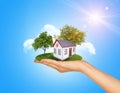 Hand holding house on green grass with tree, solar Royalty Free Stock Photo