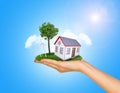 Hand holding house on green grass with tree, solar Royalty Free Stock Photo