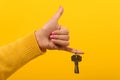 Hand holding house keys Royalty Free Stock Photo