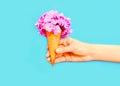 Hand holding ice cream cone with flowers over a blue background Royalty Free Stock Photo