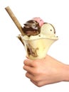 Hand holding icecream sundae Royalty Free Stock Photo