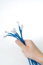 Hand holding internet cable. Royalty Free Stock Photo