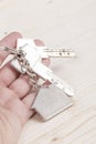 Hand holding keys with house shaped keyring Royalty Free Stock Photo