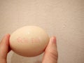 Hand Holding a Labeled Healthy Egg Against Plain Background Royalty Free Stock Photo