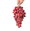 Hand holding a large bunch of red grape