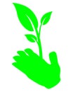 Hand holding leaf Royalty Free Stock Photo